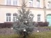 DSC00264.JPG